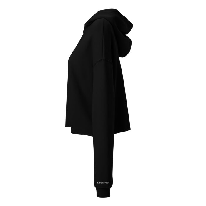 Lunarcrush Crop Hoodie - Image 4